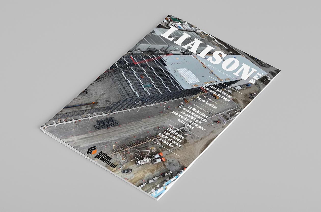 Magazine Liaison 11